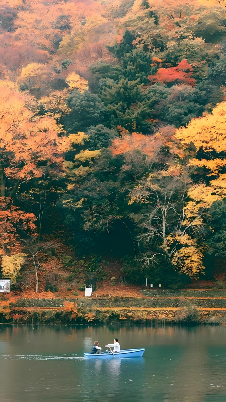 创作者头像